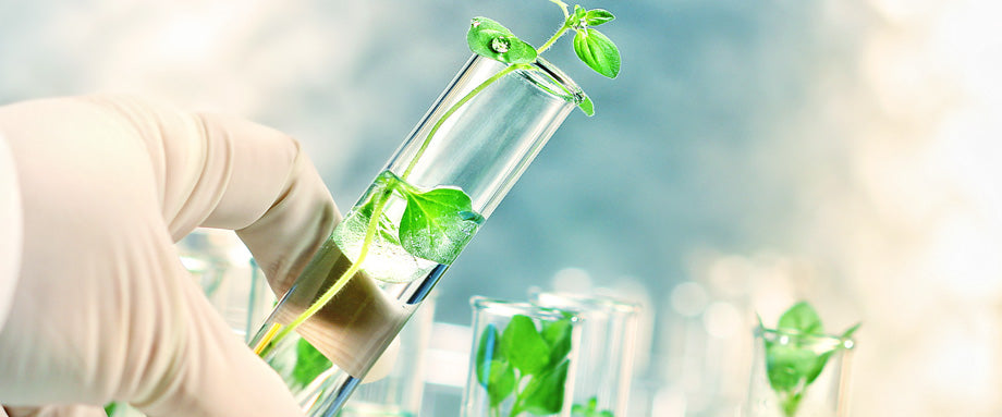 acetyl l carnitine for ms Biotech USA - ALC - Weight loss support main image 0