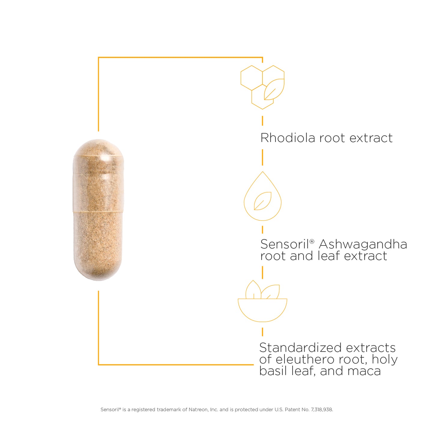 <{%MAIN3_10270%}>Nature's Way® | HPA Adapt - product benefits image