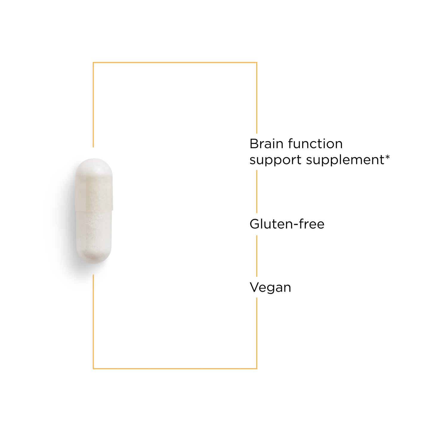 <{%MAIN3_76606%}>Nature's Way® | Acetyl L-Carnitine - product benefits image
