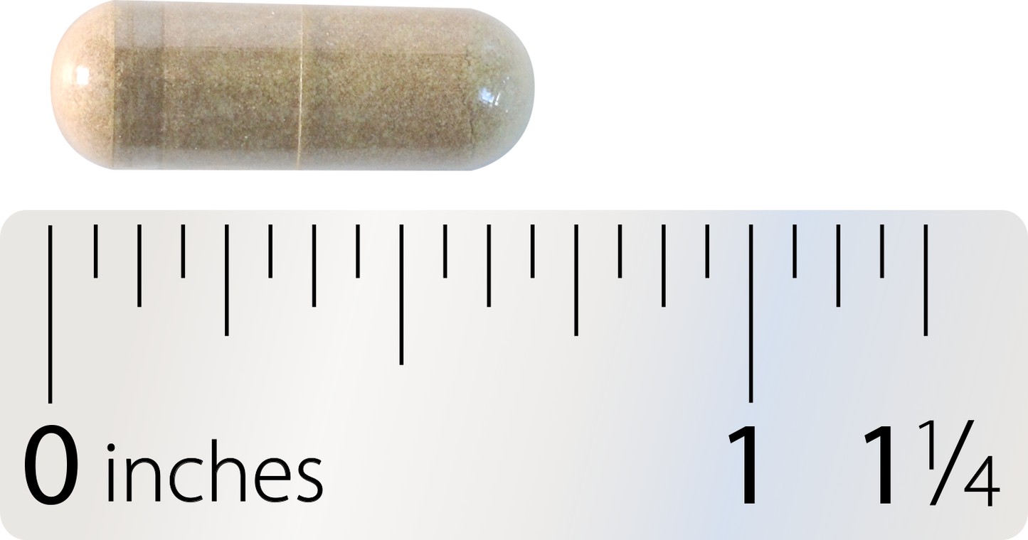 <{%MAIN4_12239%}>Nature's Way® | Motility Activator