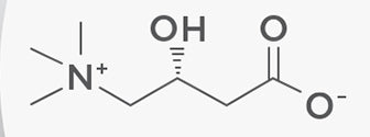 L-Carnitine and Women's Health