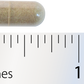 Nature's Way® | Motility Activator