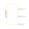 <{%MAIN3_70671%}>Nature's Way® | Pro-Flora Womens Probiotic - product benefits image