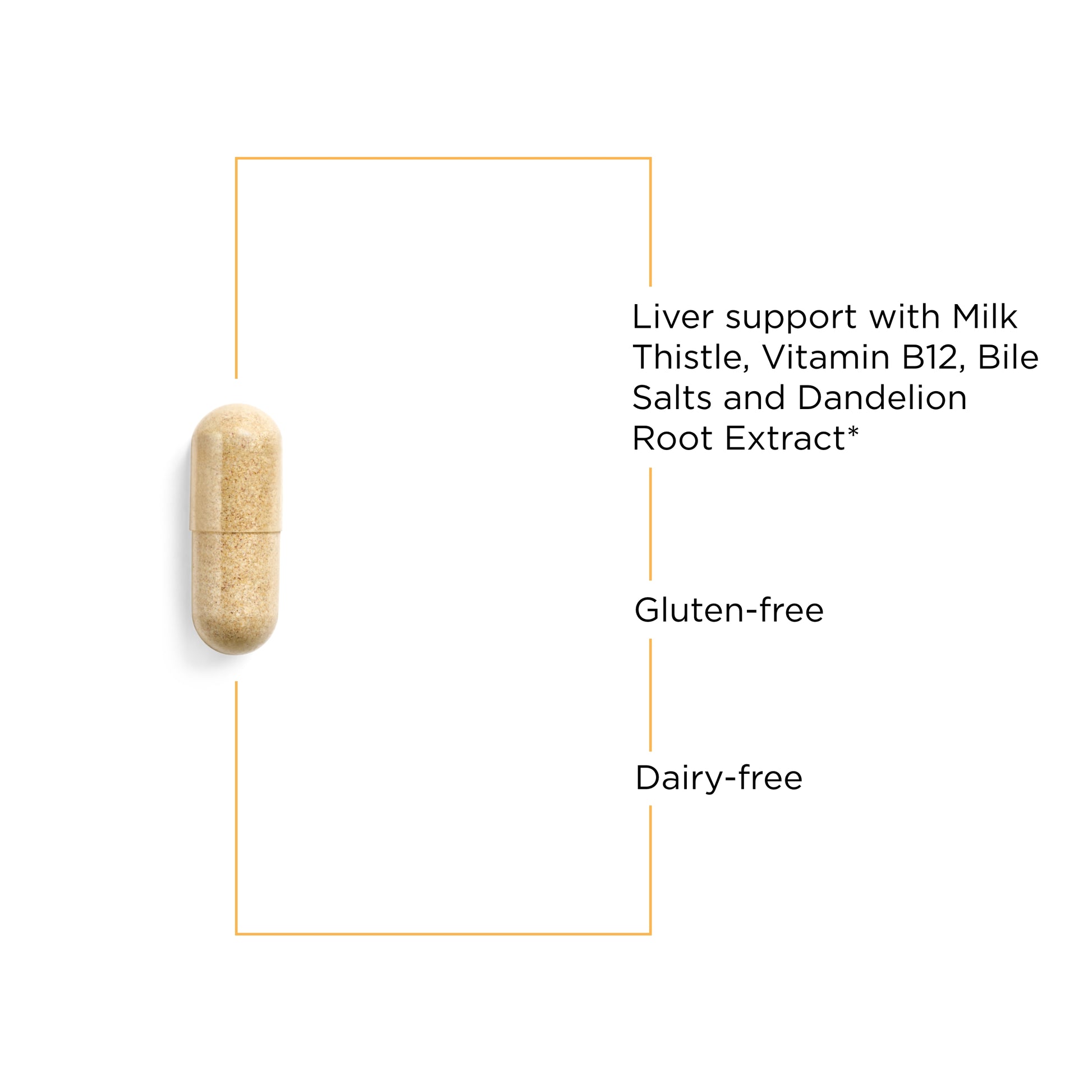 Nature's Way® | Lipotropic Complex - product benefits image