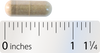 <{%MAIN4_12239%}>Nature's Way® | Motility Activator
