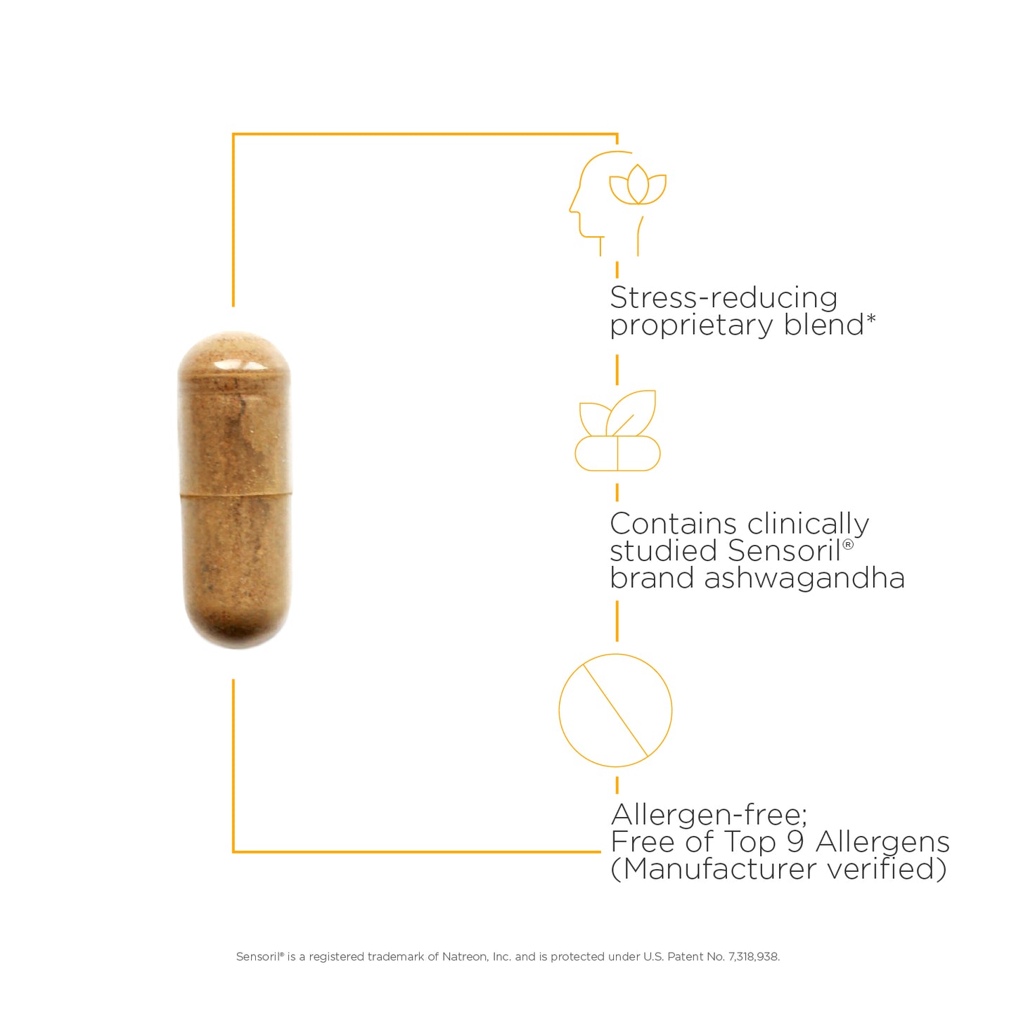 <{%MAIN3_12938%}>Nature's Way® | Cortisol Manager Allergen Free - product benefits image