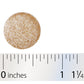 Nature's Way® | Rhizinate™