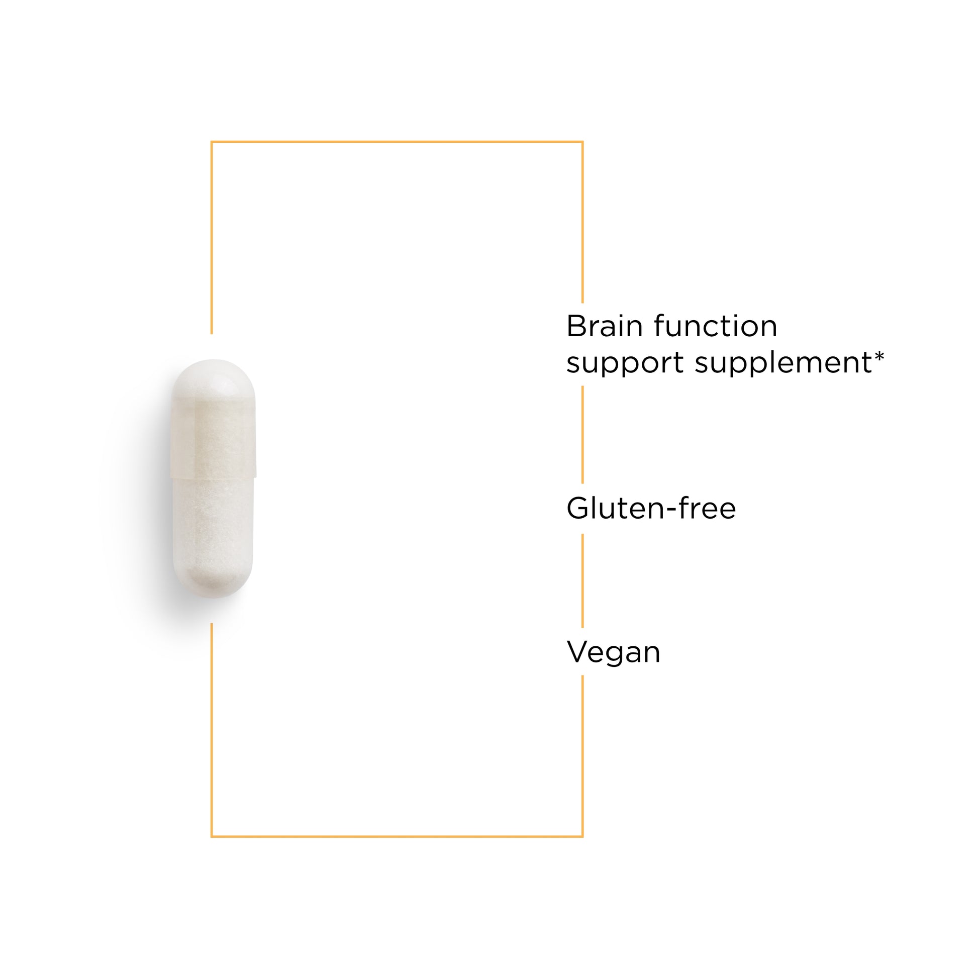 Nature's Way® | Acetyl L-Carnitine - product benefits image