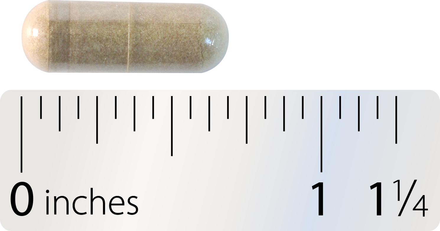 Nature's Way® | Motility Activator