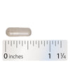 <{%MAIN4_116004%}>Nature's Way® | Lipase Concentrate-HP - Capsule and ruler