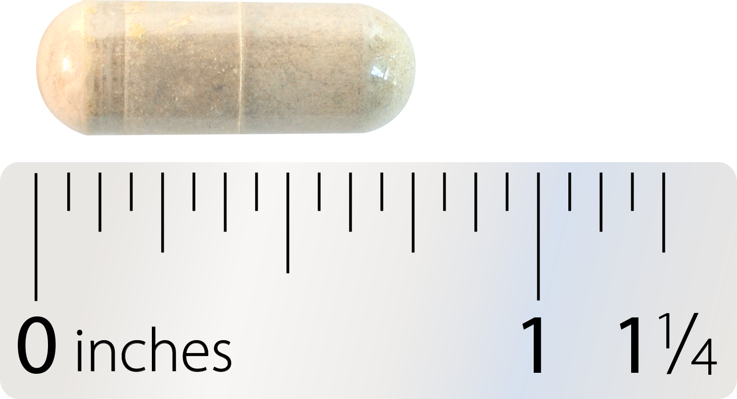 Nature's Way® | Super Milk Thistle® X