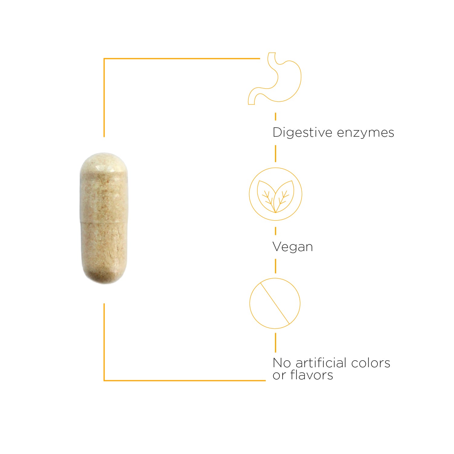 Nature's Way® | Similase - product benefits image