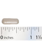 Nature's Way® | Lipase Concentrate-HP - Capsule and ruler