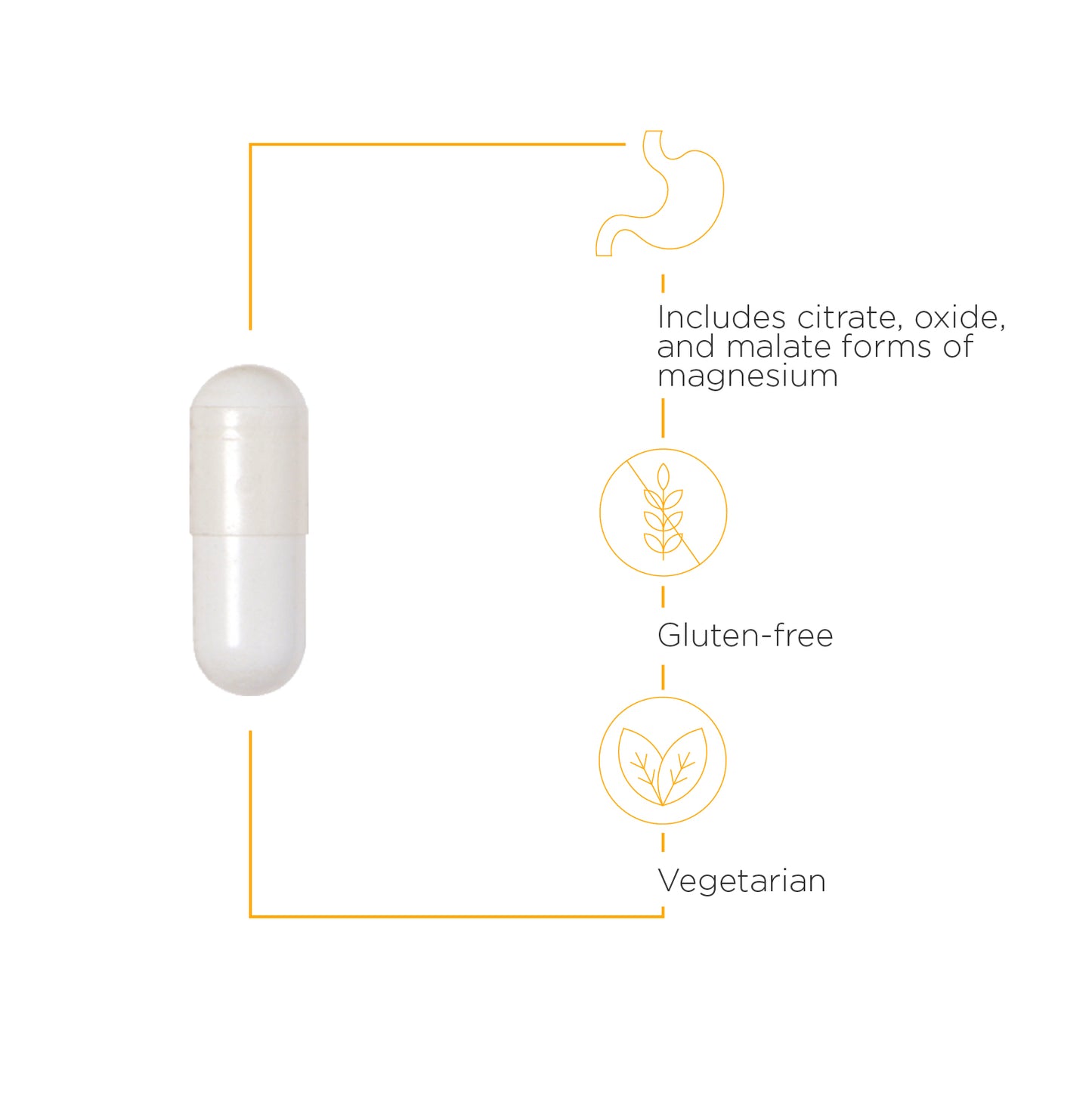 <{%MAIN3_206014%}>Nature's Way® | Tri-Magnesium - product benefits image