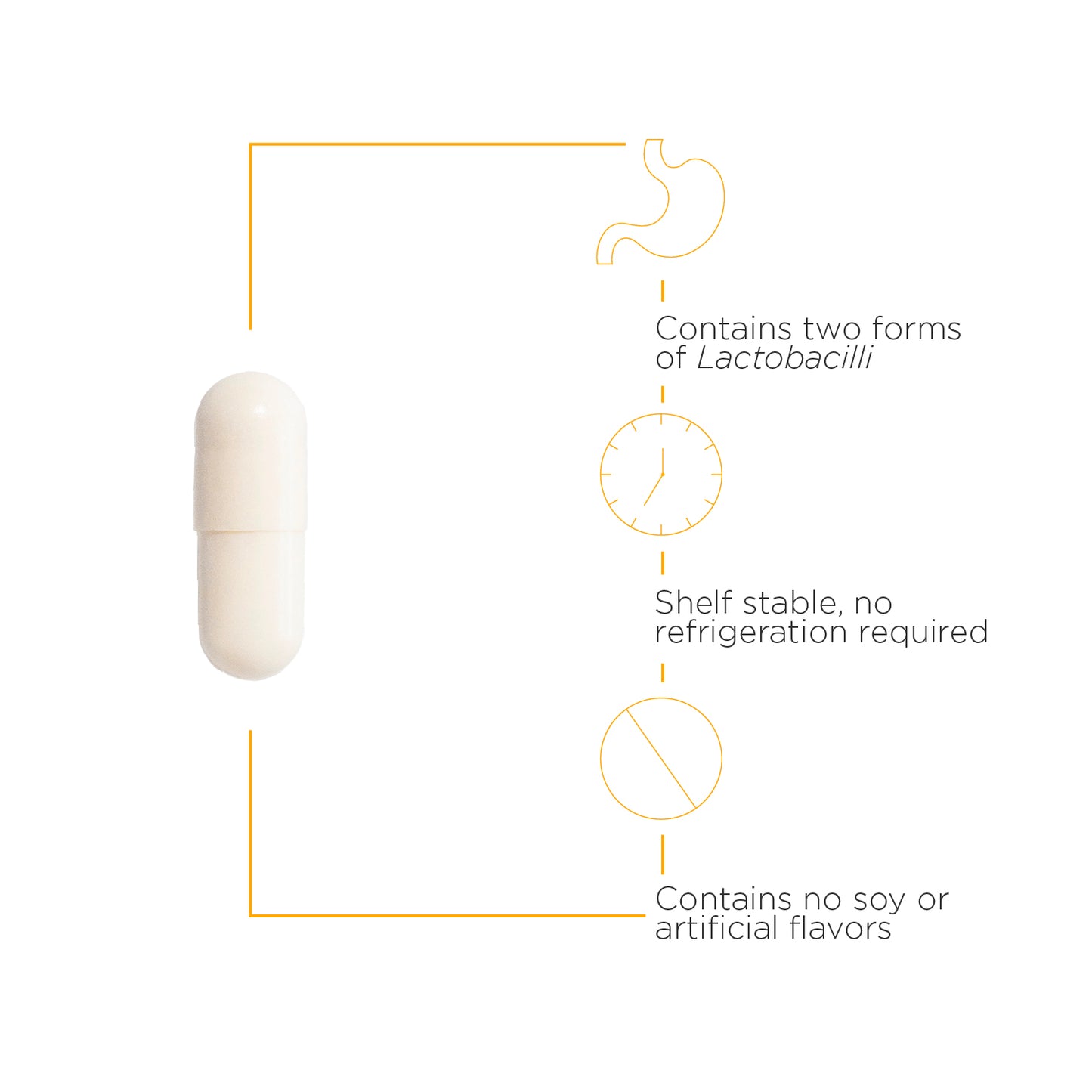 <{%MAIN3_70671%}>Nature's Way® | Pro-Flora Womens Probiotic - product benefits image