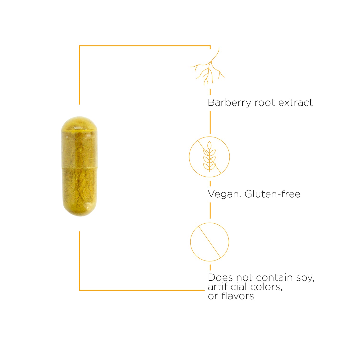 <{%MAIN3_78169%}>Nature's Way® | Berberine Complex - product benefits image