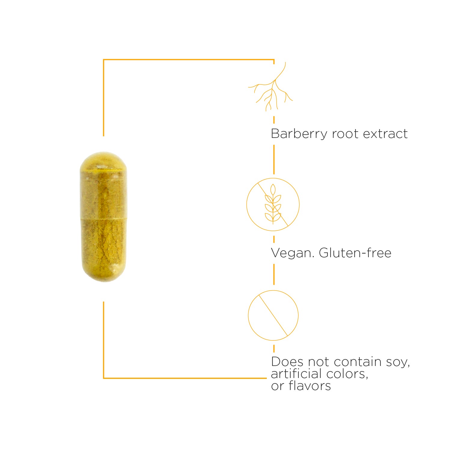 Nature's Way® | Berberine Complex - product benefits image