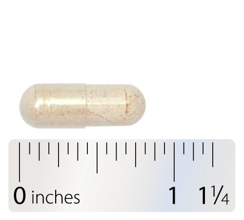 Nature's Way® | ProThrivers Wellness Brain - Capsule and ruler