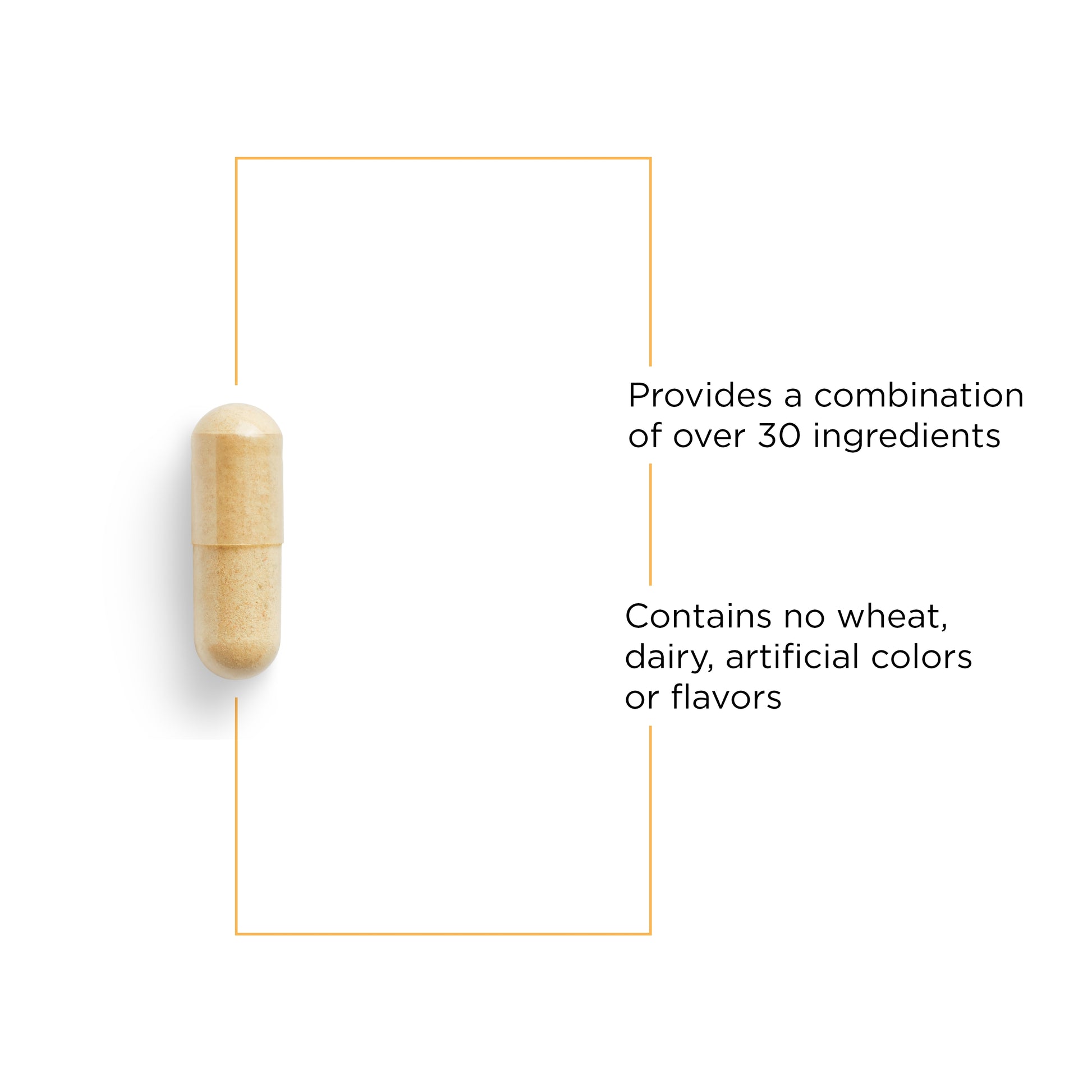 Nature's Way® | Detoxication Factors - product benefits image