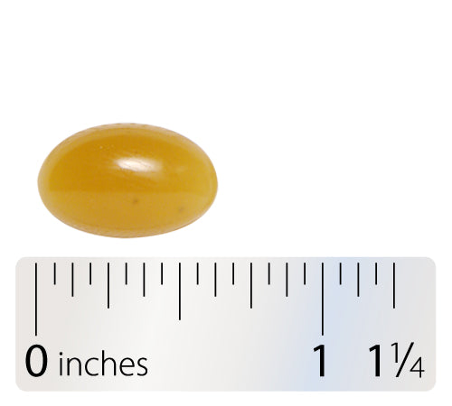 Nature's Way® | Phosphatidylserine - Softgel and ruler