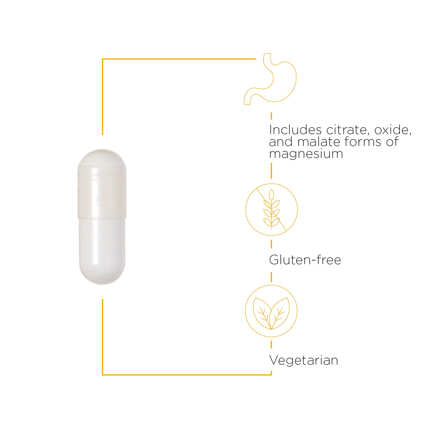 Nature's Way® | Tri-Magnesium - product benefits image