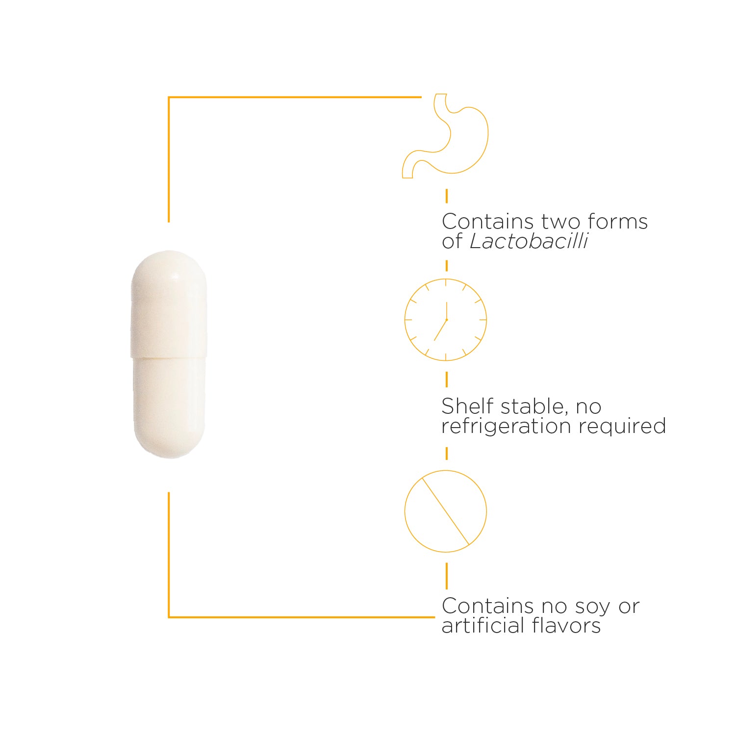 Nature's Way® | Pro-Flora Womens Probiotic - product benefits image