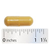 <{%MAIN4_12916%}>Nature's Way® | Clinical Nutrients™ HP