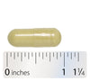 <{%MAIN4_216011%}>Nature's Way® | Vitamin C With Quercetin