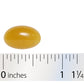 Nature's Way® | Phosphatidylserine - Softgel and ruler