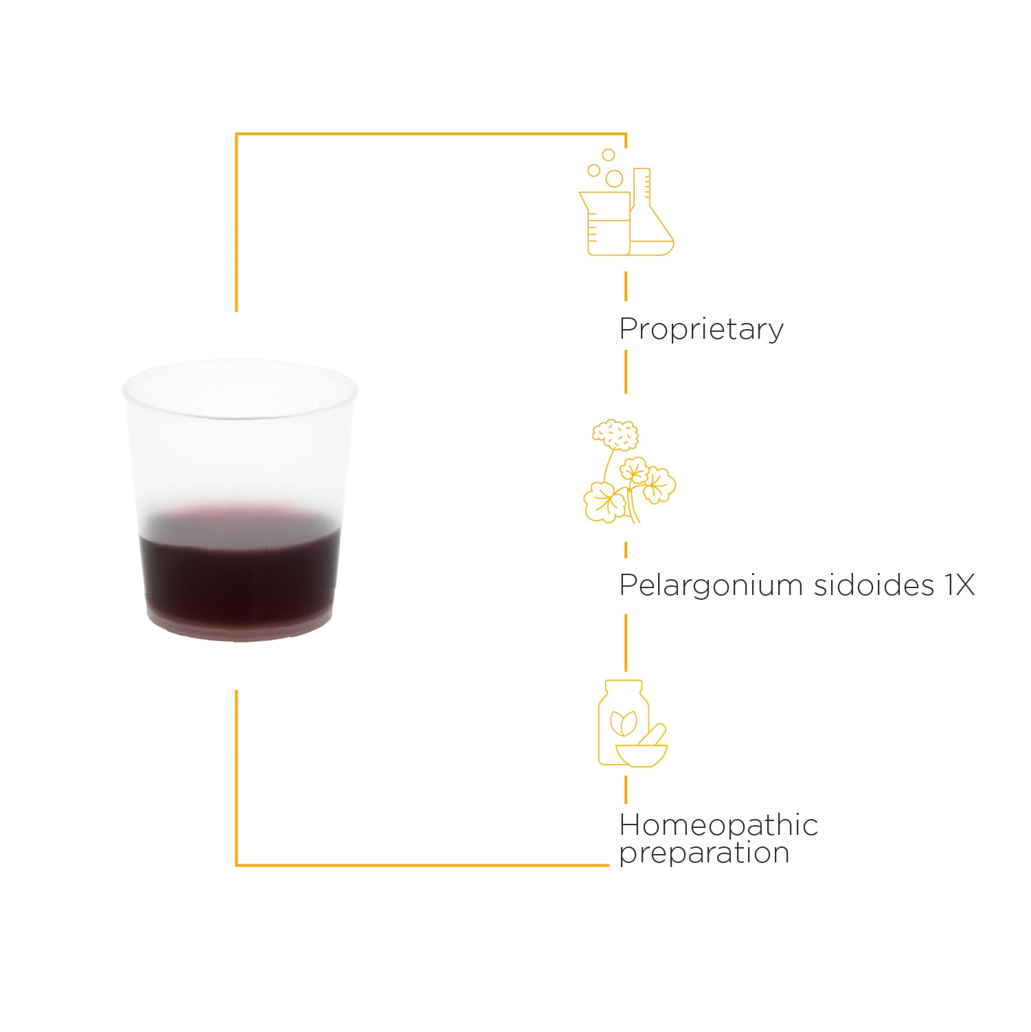 Nature's Way® | V Clear EPs 7630 Syrup - product benefits image