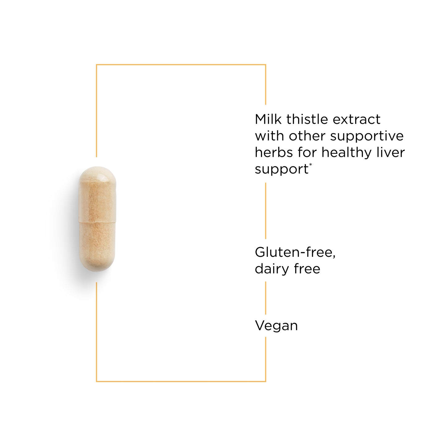 <{%MAIN6_78102%}>Nature's Way® | Super Milk Thistle X - product benefits image