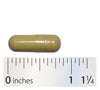 <{%MAIN7_146004%}>Nature's Way® | Detoxication Factors™