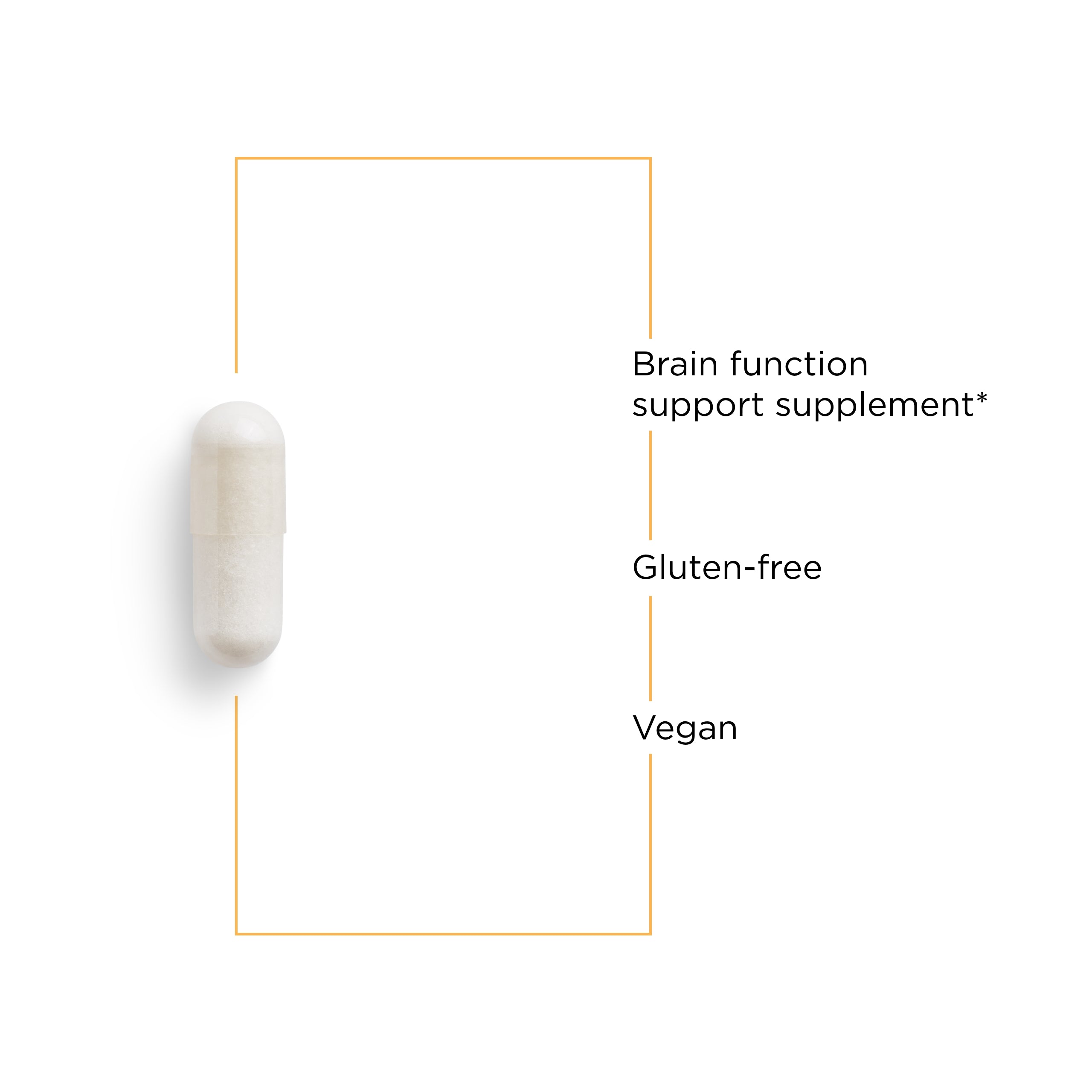 Acetyl L-Carnitine | Integrative Therapeutics Acetyl L-Carnitine | Integrative Therapeutics