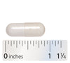 <{%MAIN3_75802%}>Nature's Way® | Cellular Forté®