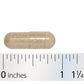 Nature's Way® | Lipotropic Complex™