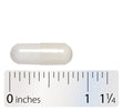Nature's Way® | Acetyl L-Carnitine - Capsule and ruler Sku:76606