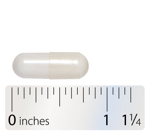 Nature's Way® | Acetyl L-Carnitine - Capsule and ruler Sku:76606