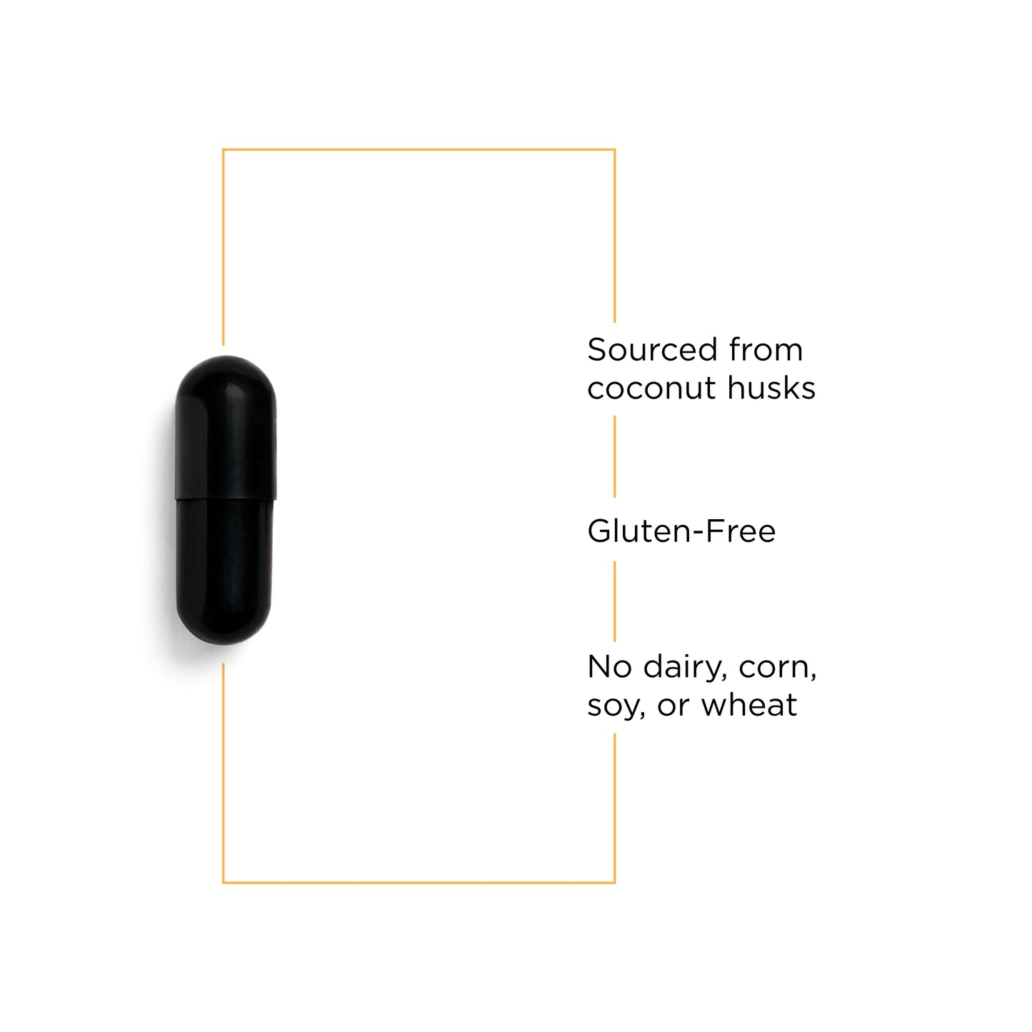 <{%MAIN3_70656%}>Nature's Way® | Activated Charcoal - product benefits image