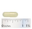Nature's Way® | Alpha-Glycosyl Isoquercitrin - Capsule and ruler Sku:10003