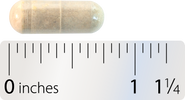 Nature's Way® | Super Milk Thistle® X Sku:78102