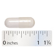 Nature's Way® | Cellular Forté® Sku:75802