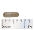 Nature's Way® | Vitex Extract Sku:78726