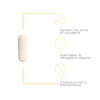 Nature's Way® | Pro-Flora Womens Probiotic - product benefits image Sku:70671