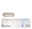 Nature's Way® | Lipase Concentrate-HP - Capsule and ruler Sku:116004