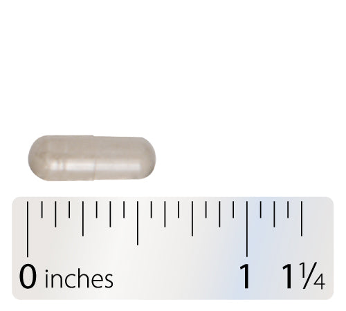 Nature's Way® | Lipase Concentrate-HP - Capsule and ruler Sku:116004