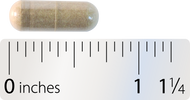 Nature's Way® | Motility Activator Sku:12239