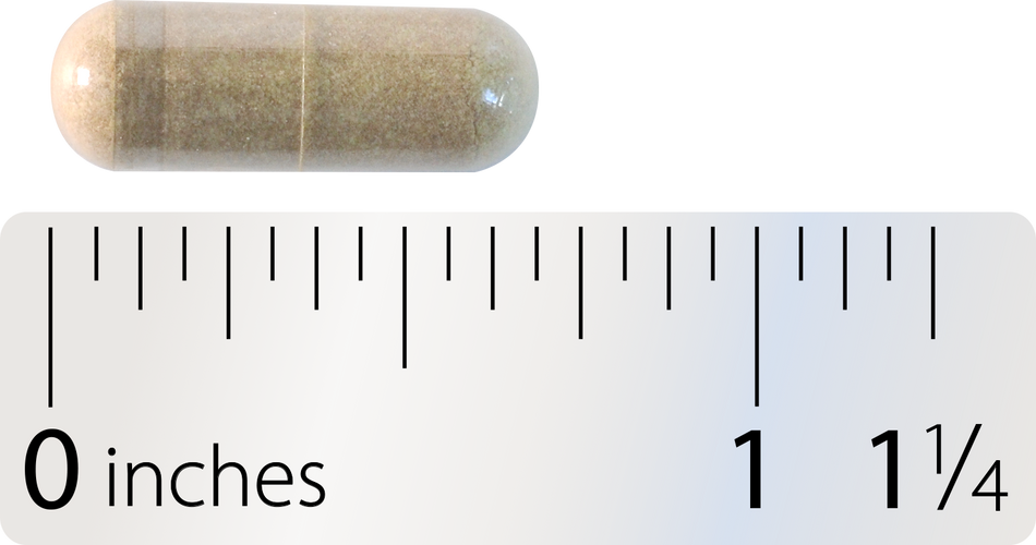 Nature's Way® | Motility Activator Sku:12239