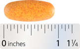 Nature's Way® | Curcumax Pro - Tablet and ruler Sku:70655
