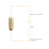 Nature's Way® | Similase - product benefits image Sku:74239