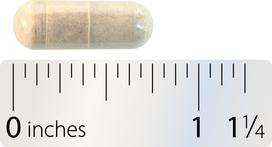 Nature's Way® | Super Milk Thistle® X Sku:78102
